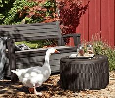 becca hocker moderne bambus bambusmöbel runde kissenbox besten balkon neu bilder auf pinterest in 2018 becca hocker moderne bambus bambusmöbel runde kissenbox besten balkon neu bilder auf pinterest in 2018