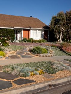 582 Best Desert Landscaping Ideas Images In 2019 Diy Backyard Desert Landscaping Ideas On A Budget Sweet Water Wise Landscapingfront Yard
