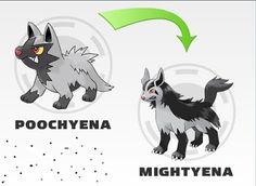 poochyena evolution chart chart2 paketsusudomba co houndour evolution chart