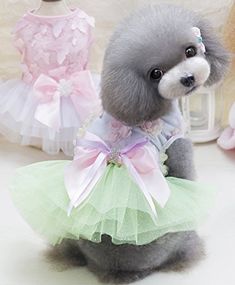 fast-shop Premium Quality Rose Flower Gauze Tutu Dress Puppy Dog Princess Clothes Costume for Chihuahua Poodle Yorkshire fast-shop Premium Quality Rose Flower Gauze Tutu Dress Puppy Dog Princess Clothes Costume for Chihuahua Poodle Yorkshire