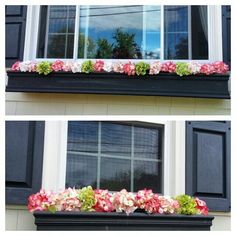 15 Best Flower Bo Images In 2020 Window Box 15 Best Flower Bo Images In 2020