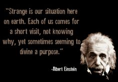 Best Albert Einstein Images In Albert Einstein Theory Albert Einstein Best Quotes Life Quotes Famous Quotes Awesome Quotes War Quotes Mental Health Essays also English Literature Essay Topics Terrorism Essay In English