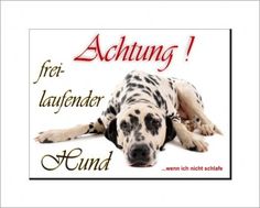 Kein hundeklo drucken kostenlos - Die besten Kein hundeklo drucken kostenlos ausführlich analysiert!