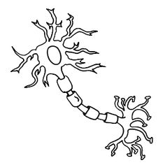 free science themed coloring pages featuring simple black and white illustrations for children to color and label perfect for science notebooking