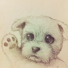 30 best drawing images on pinterest cute drawings draw animals