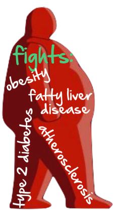 His yard victoria bariatric surgery weight loss surgery Anaesthetist victoria bariatric surgery weight loss surgery voice trembled when
