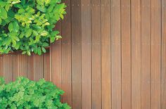 Die besten Favoriten - Suchen Sie hier die Diy pavillon entsprechend Ihrer Wünsche