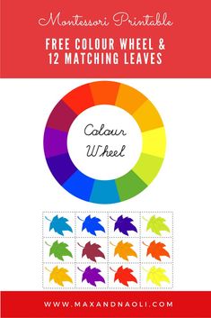 best montessori free printables downloads images in free montessori inspired printable of colour wheel matching leaves download now