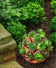 526 best garden images