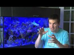 9 best saltwater tank