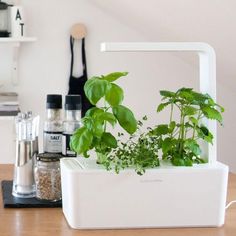 How To Grow A Year Round Hydroponic Garden How To Grow A Year Round Hydroponic Garden