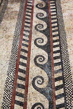 11 Best Cricket Bats Images Bat Cake Toppers Archaeologists Excavate Magnificent Mosaics In The Long Lost Gallo Roman City Of Ucetia