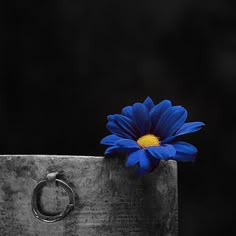 175 Best Black White W A Hint Of Color Images Pop 8 Tumblr Royal Blue Wallpaper Henri Cartier Bresson Black White Photos