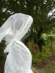 garden variety ghostschicken wire is so easy to work into any shape you want make life sized ghosts and dress them in cheesecloth - Cheesecloth Halloween Decorations garden variety ghostschicken wire is so easy to work into any shape you want make life sized ghosts and dress them in cheesecloth - Cheesecloth Halloween Decorations