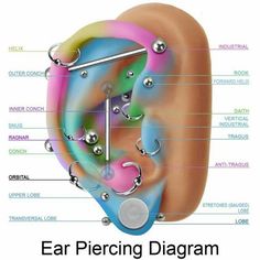 Maria Tash's Scale Of Ear Piercing PainI Did My Own Conch And It - 236x236 - jpeg Ear Piercing Pain Level