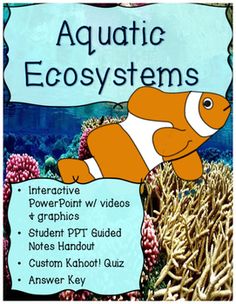 33 best aquatic ecosystems