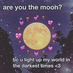 photo Cute Flirty Wholesome Memes For Crush 560 flirty memes ideas in 2021 cute