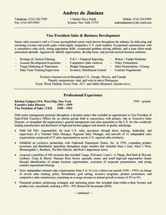 business development resume