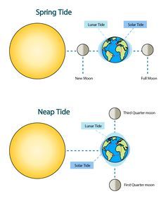 what causes tides