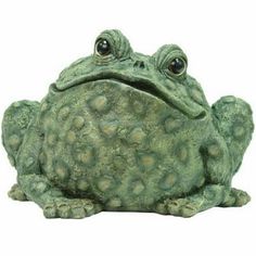 NEW PEACE FROGS 1.25/" RIGHT ON BUTTON