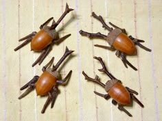 acorns craft …