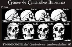 28 Ideas De Antrpologia Criminal Criminologia Antropología Forense Antropología