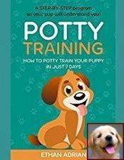 House Training A Puppy In The Rain And Dog Training Classes Petco