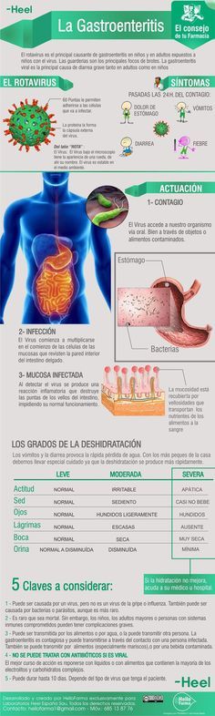 Gastroenteritis que antibiotico tomaris