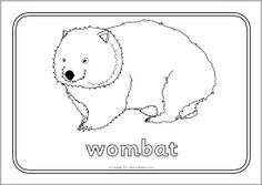 A Selection Of Colouring Pages Featuring Various Australian Animals