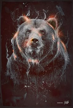 Caroline Blanchet on Behance Behance, Nature, Bear Wallpaper, Wild, Grizzly Bear Tattoos, Bear Pictures, Spirit Bear