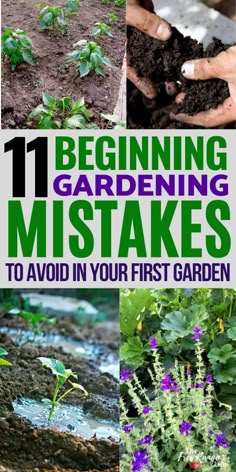 Organic Gardening Tips, Starting A Garden, Gardening Hacks