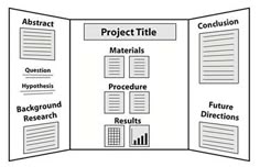 science projects layout