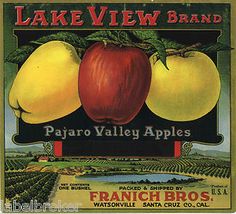 LAKE CHELAN Vintage Washington Apple Crate Label **AN ORIGINAL LABEL** Scenic LAKE CHELAN Vintage Washington Apple Crate Label **AN ORIGINAL LABEL** Scenic