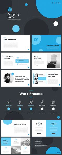 simplicity powerpoint template project