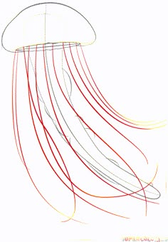 how to draw a jellyfish step by step drawing tutorials