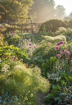610 Landscape Illustration Ideas Landscape Landscape Illustration Cool Landscapes