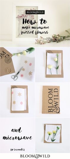 118 best flower press and paper to try images on pinterest pressed flower pressing paper