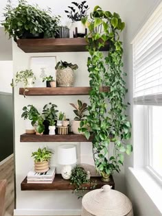 Living Room Plants Decor, Living Decor, Bedroom With Plants, Plants Over Bed, Cozy Living, Plants For Room, Wall Of Plants, Decorate With Plants Indoors