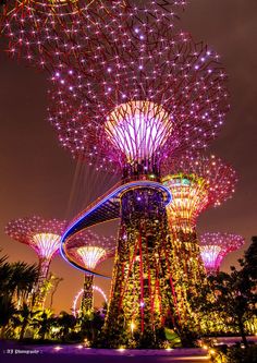Garden By The Bay Fireworks photos: singapore's supertrees, solar-powered vertical gardens Garden By The Bay Fireworks photos: singapore's supertrees, solar-powered vertical gardens