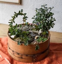 Die 36 besten Bilder von Pflanzen-Deko in 2018 Die 36 besten Bilder von Pflanzen-Deko in 2018
