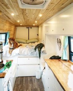 How This Couple Does Van Life With A Baby And Dog How This Couple Does Van Life With A Baby And Dog