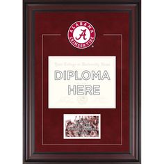 AllGiftFrames University of California San Diego Diploma Frame School Lithograph Major Logo UCSD Degree Case Holder Graduation Diploma Display Graduate Gift