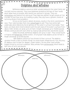 freebie compare and contrast poster and venn diagram sheet venn diagram reading