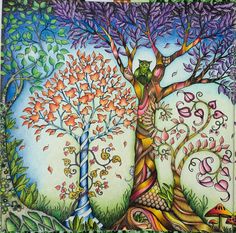 Enchanted Forest Foret Enchantee By Johanna Basford L Her First