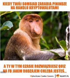 Najlepsze Obrazy Na Tablicy Memy Janusz Nosacz 25 W 2019 Chistes