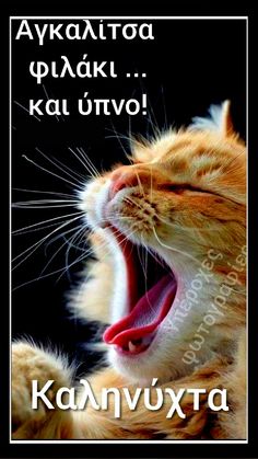 Dating Dias σετ αγκαλίτσας