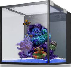 31 best salt water
