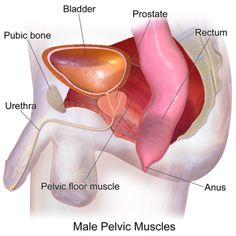how to keep your prostate health