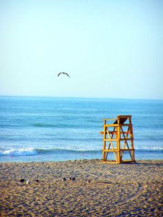 150 Best Cocoa Beach Florida Images In 2018 Beaches Cocoa Beach Florida Orlando Vacation Als