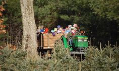 23 best nh christmas tree farms images on pinterest farm houses cut your own christmas tree nh